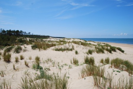 AU SUD DE ROYAN : LA CÔTE SAUVAGE.